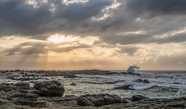 South Africa eases affirmative action regulations on Starlink and others that Musk said were racist – WRAL