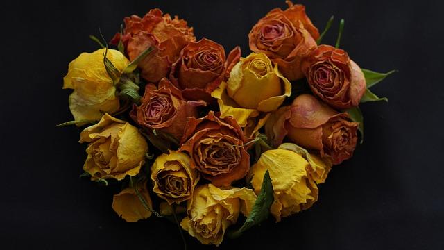 South Africa Summer Travel Uncovered Hidden Destinations Offering Peace Quiet and Natural Wonder: You Need to Know – Travel And Tour World