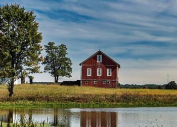 Rural America is deeply misunderstood: We aren’t depopulating and we’re not the reason 2024 swung to Trump – Fortune