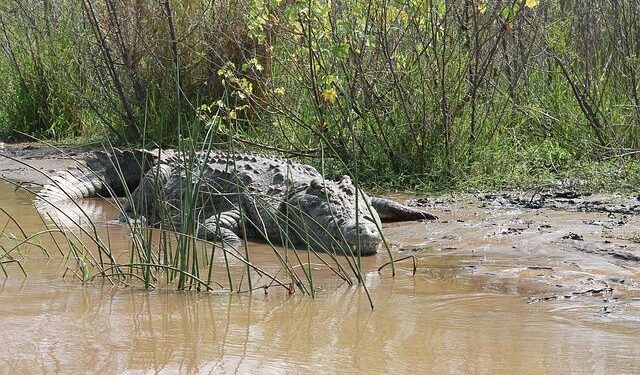 Ethiopia accuses Eritrea of preparing for war as Red Sea tensions rise – BBC