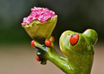 World’s Longest Direct Flight from Shanghai to Buenos Aires: Connecting China, Argentina, and New Zealand- A Game Changer for Trade and Tourism – Travel And Tour World