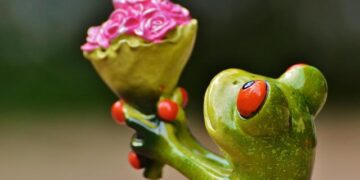 World’s Longest Direct Flight from Shanghai to Buenos Aires: Connecting China, Argentina, and New Zealand- A Game Changer for Trade and Tourism – Travel And Tour World