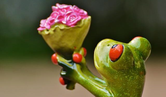 World’s Longest Direct Flight from Shanghai to Buenos Aires: Connecting China, Argentina, and New Zealand- A Game Changer for Trade and Tourism – Travel And Tour World