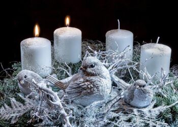 Second Advent reflection: Communion is not uniformity – Vatican News