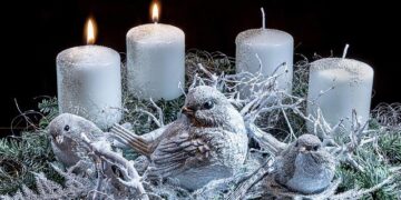 Second Advent reflection: Communion is not uniformity – Vatican News