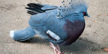 Nobel 2025: Crown Princess Victoria stunned in 1994 Balenciaga-inspired dress – Vogue Scandinavia