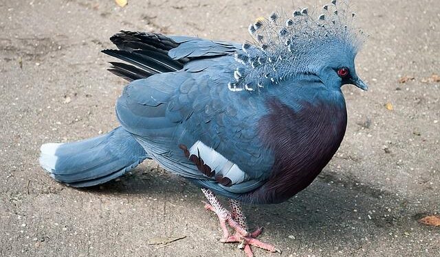 Nobel 2025: Crown Princess Victoria stunned in 1994 Balenciaga-inspired dress – Vogue Scandinavia