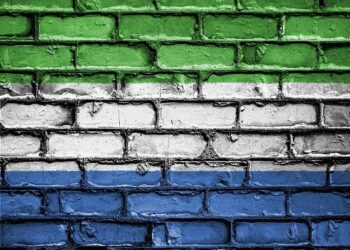 From diamonds to dirt: Sierra Leone youth bring land back to life – UN News