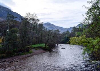 William Ruto declares Migingo Island is Kenya’s, vows to protect Kenyans living there: “By all means” – MSN