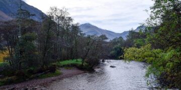 William Ruto declares Migingo Island is Kenya’s, vows to protect Kenyans living there: “By all means” – MSN