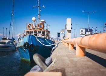 Estonia begins construction of bunkers on the border with Russia – Українські Національні Новини
