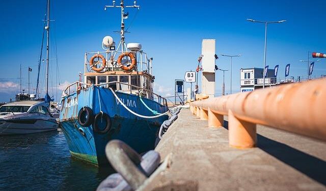 Estonia begins construction of bunkers on the border with Russia – Українські Національні Новини