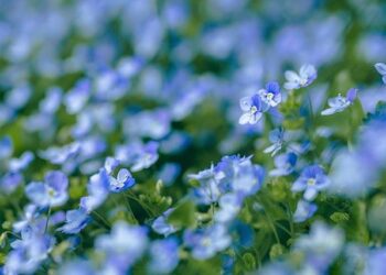 Verónica Ravenna, the woman making her own path for South America in luge – Olympics.com