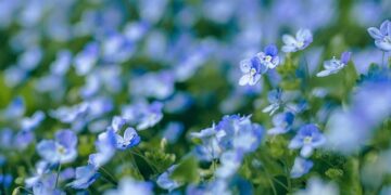Verónica Ravenna, the woman making her own path for South America in luge – Olympics.com