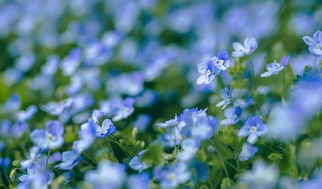 Verónica Ravenna, the woman making her own path for South America in luge – Olympics.com