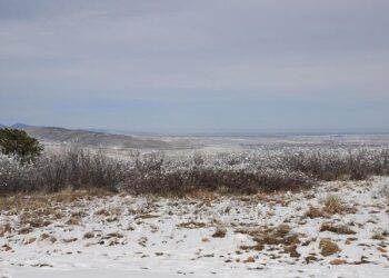 CEMA Board Officially Appoints Mr. Colin Yow as New CEO – Solomon Islands Broadcasting Corporation