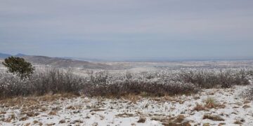CEMA Board Officially Appoints Mr. Colin Yow as New CEO – Solomon Islands Broadcasting Corporation