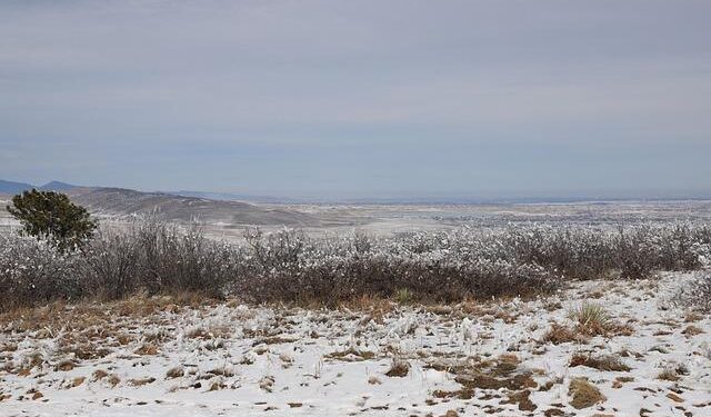 CEMA Board Officially Appoints Mr. Colin Yow as New CEO – Solomon Islands Broadcasting Corporation