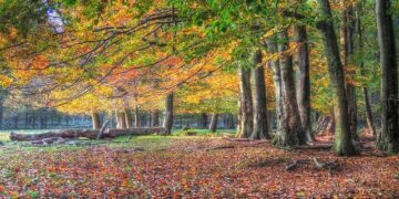 Recovery in progress at Luxtrust – Delano.lu