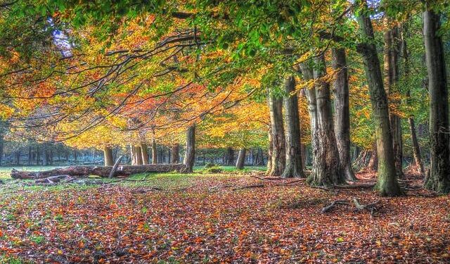 Recovery in progress at Luxtrust – Delano.lu