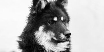 Çitaku thanks the state of the Bahamas for recognizing Kosovo: Gratitude to everyone who contributed to this process – Gazeta Express