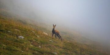 Why Christmas In Bulgaria Is Emerging As New Hidden Holiday Gem Of Europe: All You Need To Know – Travel And Tour World