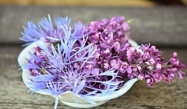 Wonder Food Hall Coming to Roxborough’s Andorra Shopping Center in 2026 – PHILADELPHIA.Today