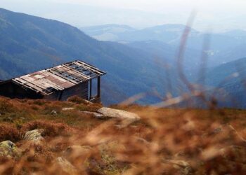 Mo Salah: Why the AFCON will define the Egypt and Liverpool forward’s legacy across Africa – Sky Sports