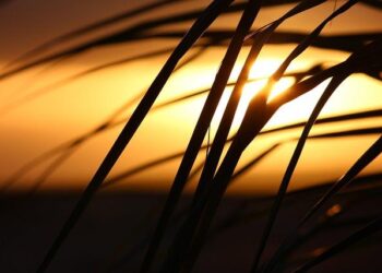 Cape Verde’s Evolution into a Top Sportfishing Destination – Marlin Magazine