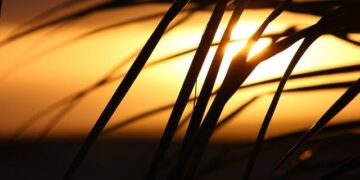 Cape Verde’s Evolution into a Top Sportfishing Destination – Marlin Magazine