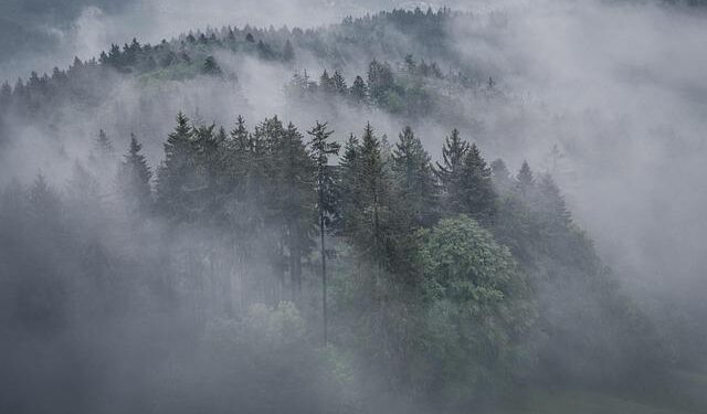 Russia launches massive drone attack on Ukraine before winter holidays – Financial Times