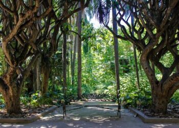 Algeria’s parliament approves law declaring France’s colonisation a crime – BBC