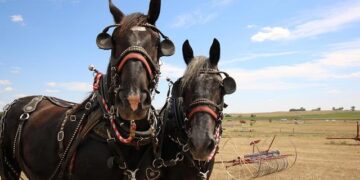 Team USA Completes Pre-Tournament Game Slate By Taking Down Finland – Fox21Online