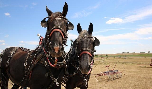 Team USA Completes Pre-Tournament Game Slate By Taking Down Finland – Fox21Online