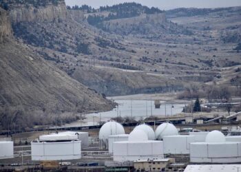 Synthos Green Energy, Blue Bird Energy join forces to deploy SMRs in Bulgaria – Balkan Green Energy News