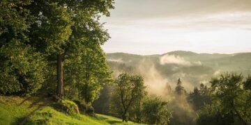 Ava Austria – Women’s Golf – Macalester College Athletics