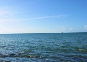 Micha sounds warning as Equatorial Guinea prepare for strong AFCON bow – Confédération Africaine de Football