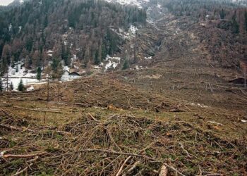 The 31 October 2025 fatal landslide at Kukas, Papua New Guinea – eos.org