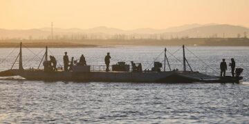 N Korea, Russia bound in ‘blood’ of war, Kim tells Putin in New Year note – Al Jazeera