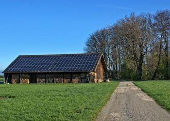 Israel’s Doral taps Waldevar to build 14 MWp of solar farm in Romania – Renewables Now