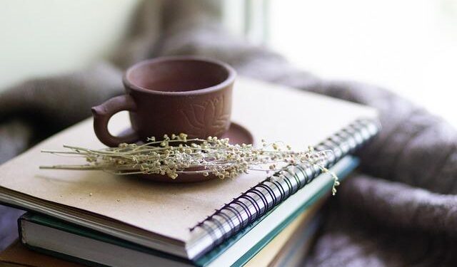 Chinese Ambassador to North Macedonia on deepening bilateral ties – news.cgtn.com