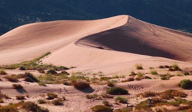 Tragic Discovery: Mystery Surrounds Family Deaths in Liechtenstein – Devdiscourse