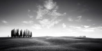 Italy watchdog orders Meta to halt WhatsApp terms barring rival AI chatbots – Reuters