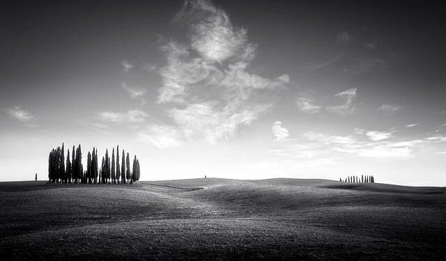 Italy watchdog orders Meta to halt WhatsApp terms barring rival AI chatbots – Reuters