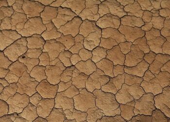 Morocco Cruise Past Zambia to Finish Top of Group A at AFCON 2025 – beIN SPORTS