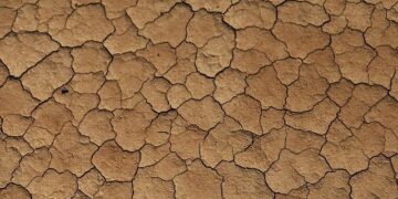 Morocco Cruise Past Zambia to Finish Top of Group A at AFCON 2025 – beIN SPORTS