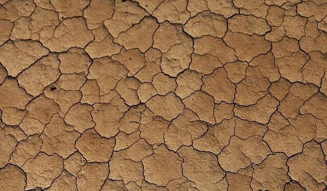 Morocco Cruise Past Zambia to Finish Top of Group A at AFCON 2025 – beIN SPORTS