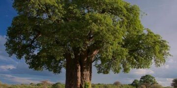 2024 Country Reports on Human Rights Practices: Tanzania – U.S. Department of State (.gov)