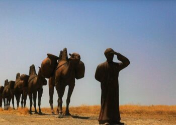 Qatar, Yemen, IGAD condemn Israel’s recognition of Somaliland as ‘dangerous precedent’ – Türkiye Today