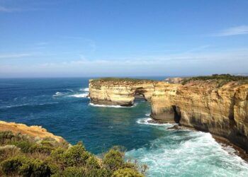Campbell med students bring joy, important health services to Sierra Leone – Campbell University News